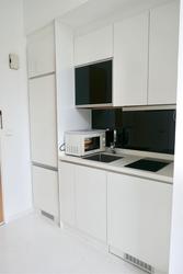 Loft @ Holland (D10), Apartment #181387112